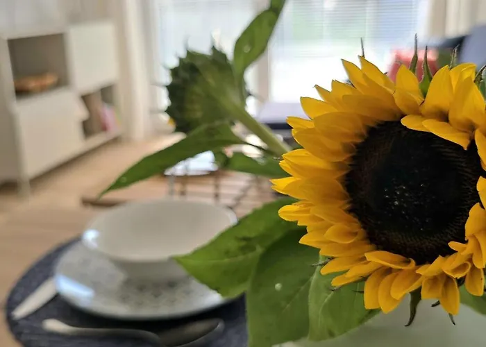 Morze, Klimat I Klimatyzacja By Triapart Jantar